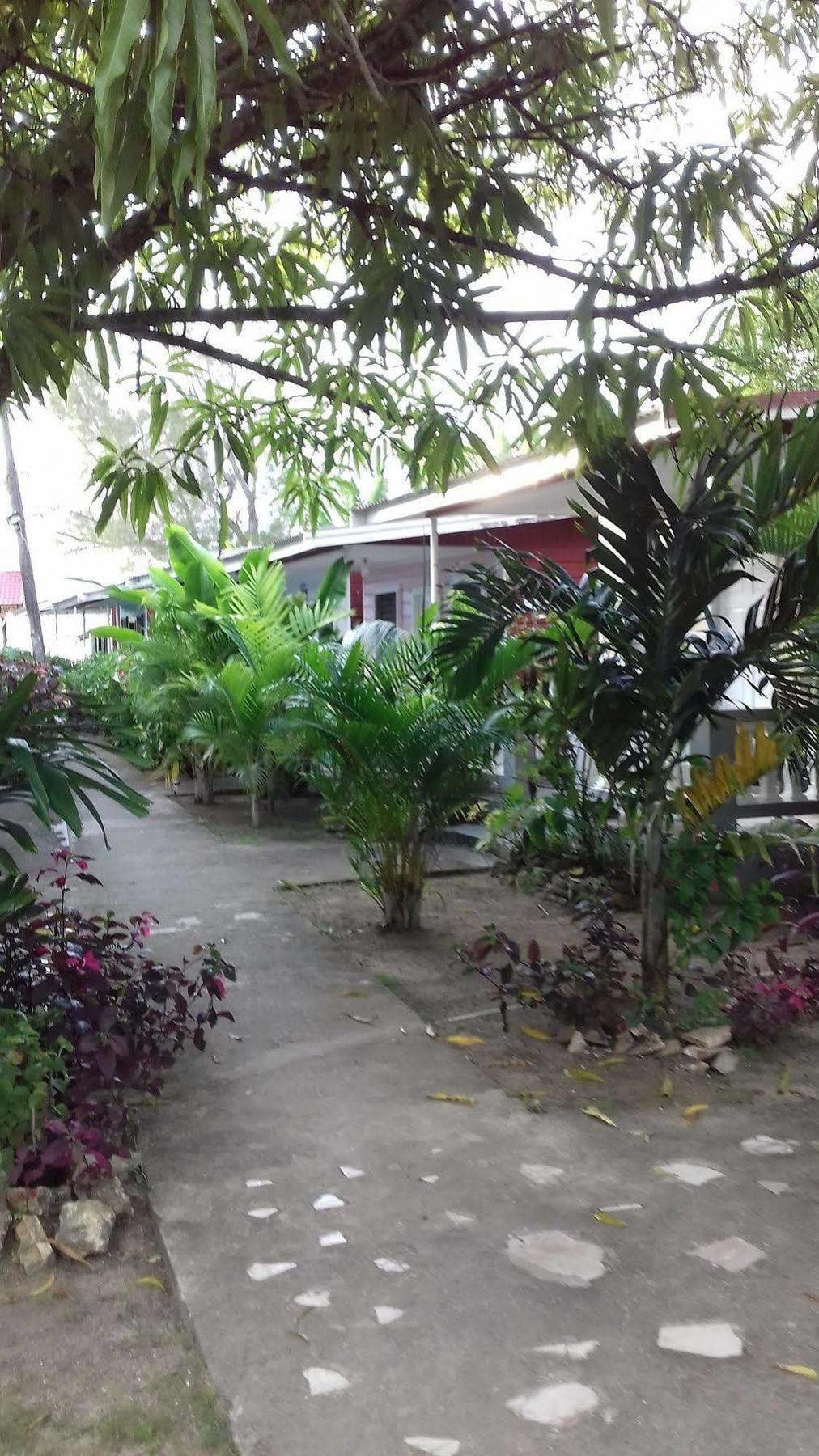Roots Bamboo Beach Resort Negril Zewnętrze zdjęcie